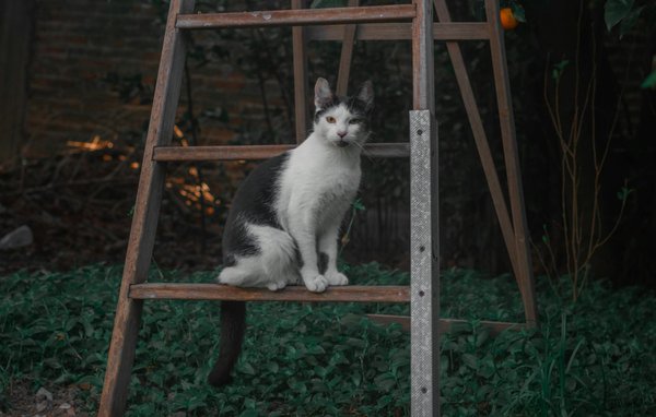Wie wichtig ist eine ausgewogene Ernährung für die Entwicklung des Fötus?