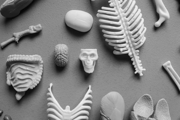 Wie beeinflusst Musik Ihre Stimmung und Ihre Gesundheit?